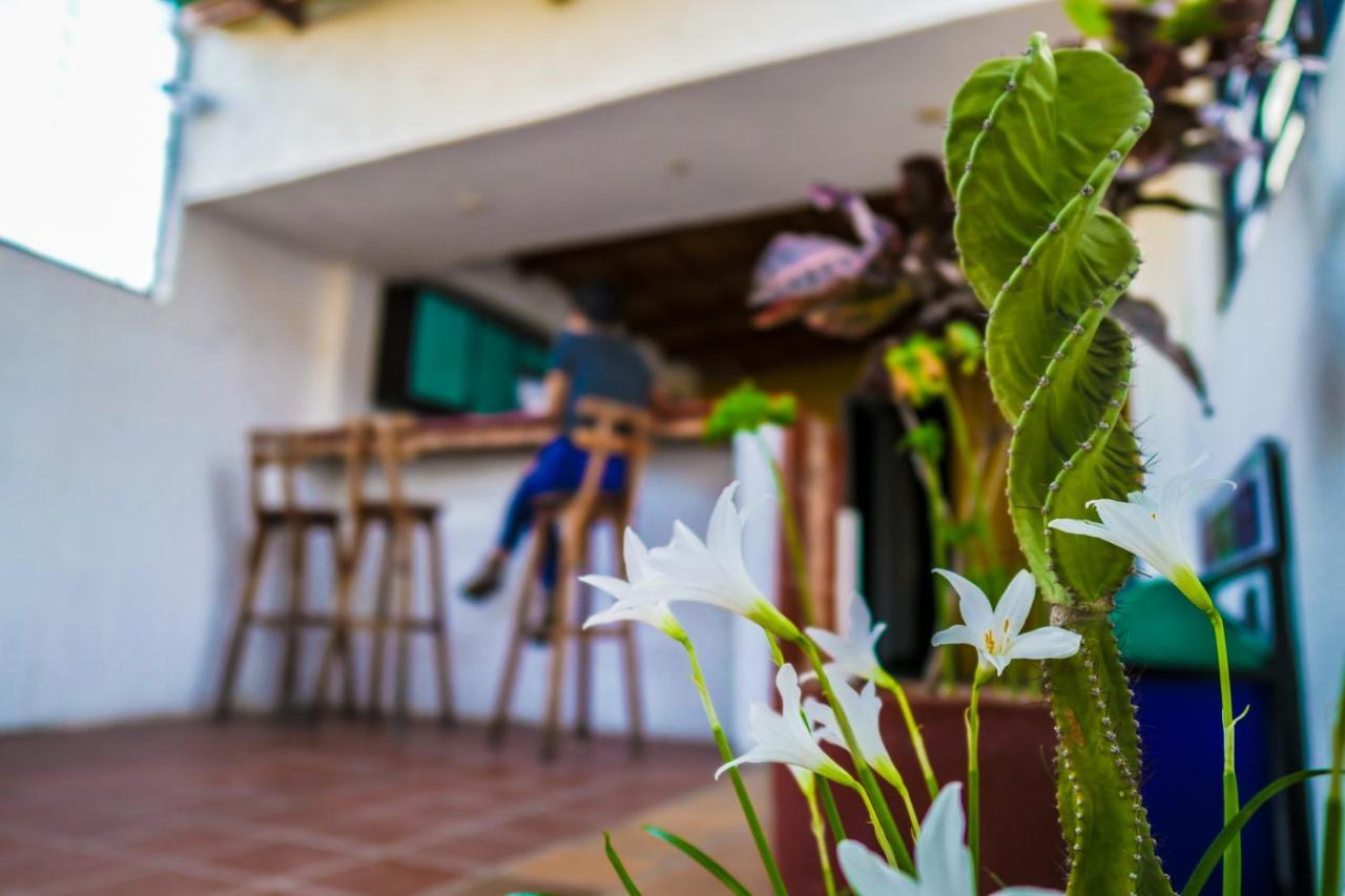 Aluna Hostel B&B 圣玛尔塔 外观 照片